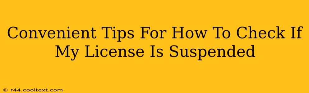 Convenient Tips For How To Check If My License Is Suspended