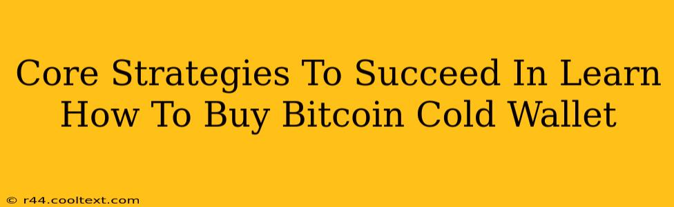 Core Strategies To Succeed In Learn How To Buy Bitcoin Cold Wallet