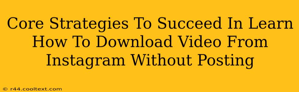 Core Strategies To Succeed In Learn How To Download Video From Instagram Without Posting