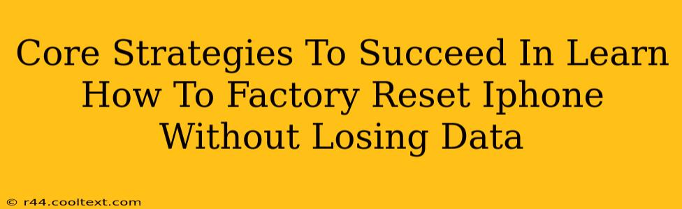 Core Strategies To Succeed In Learn How To Factory Reset Iphone Without Losing Data