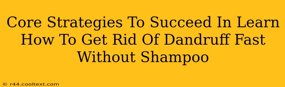 Core Strategies To Succeed In Learn How To Get Rid Of Dandruff Fast Without Shampoo