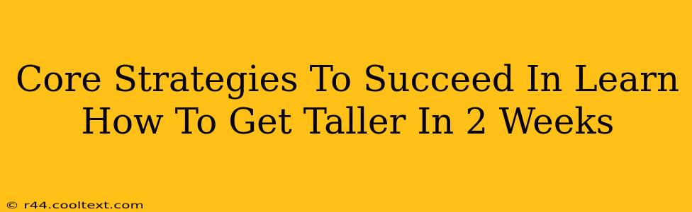 Core Strategies To Succeed In Learn How To Get Taller In 2 Weeks