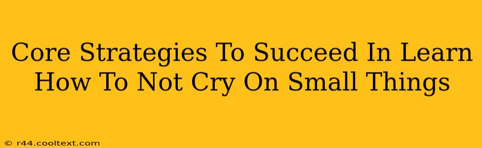 Core Strategies To Succeed In Learn How To Not Cry On Small Things