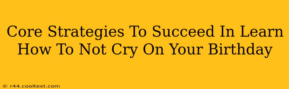 Core Strategies To Succeed In Learn How To Not Cry On Your Birthday