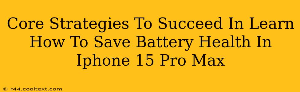 Core Strategies To Succeed In Learn How To Save Battery Health In Iphone 15 Pro Max