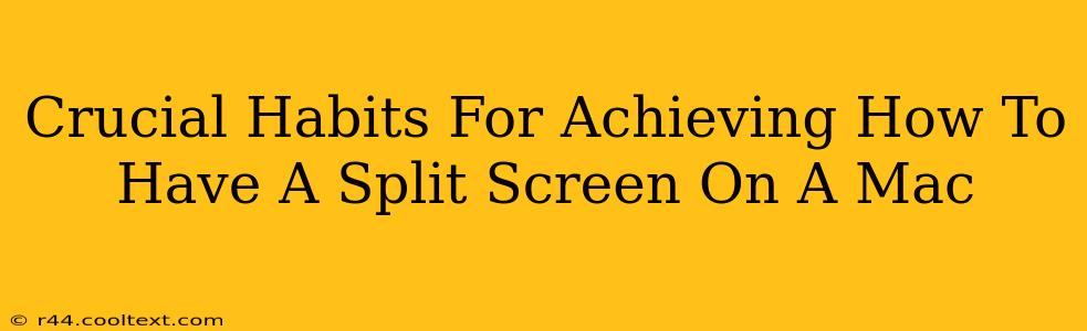 Crucial Habits For Achieving How To Have A Split Screen On A Mac