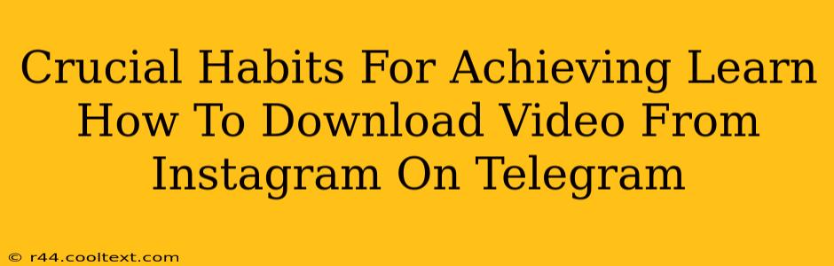 Crucial Habits For Achieving Learn How To Download Video From Instagram On Telegram