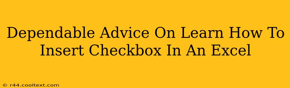 Dependable Advice On Learn How To Insert Checkbox In An Excel