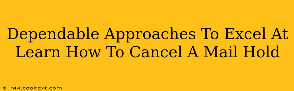 Dependable Approaches To Excel At Learn How To Cancel A Mail Hold