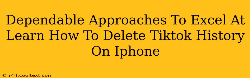 Dependable Approaches To Excel At Learn How To Delete Tiktok History On Iphone