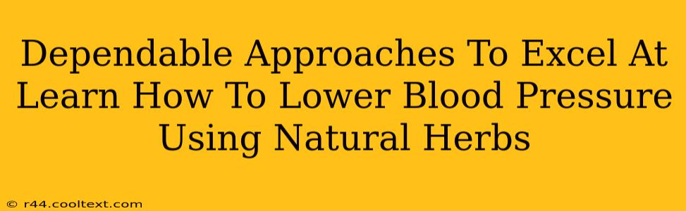 Dependable Approaches To Excel At Learn How To Lower Blood Pressure Using Natural Herbs