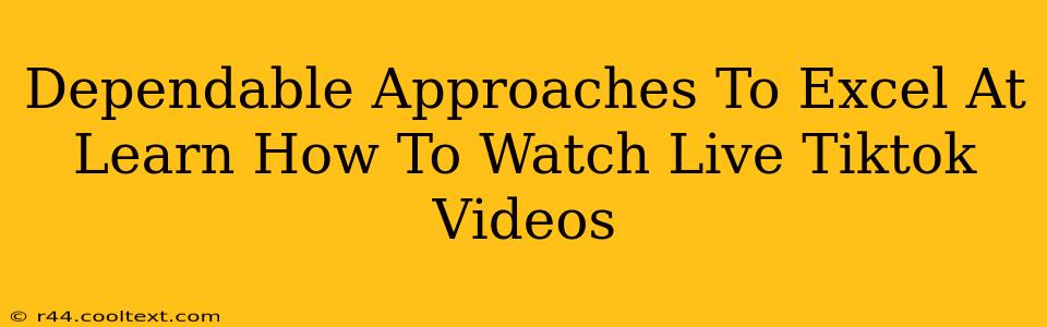 Dependable Approaches To Excel At Learn How To Watch Live Tiktok Videos