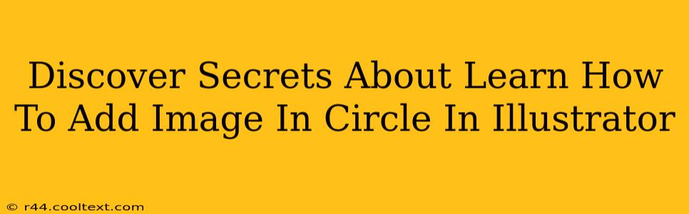 Discover Secrets About Learn How To Add Image In Circle In Illustrator