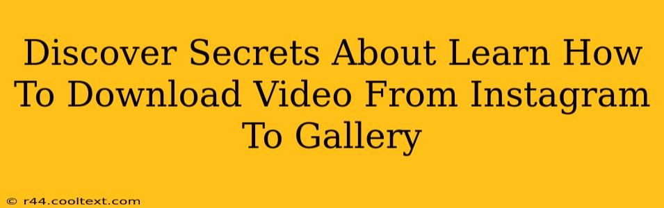 Discover Secrets About Learn How To Download Video From Instagram To Gallery