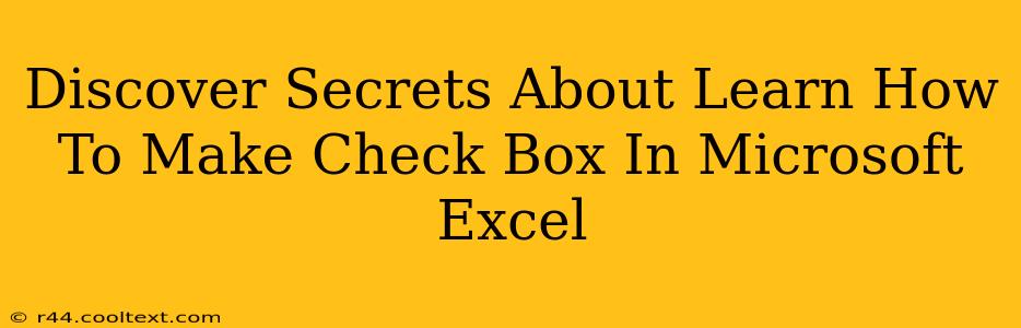 Discover Secrets About Learn How To Make Check Box In Microsoft Excel