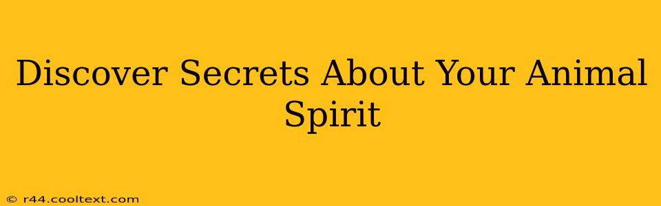 Discover Secrets About Your Animal Spirit