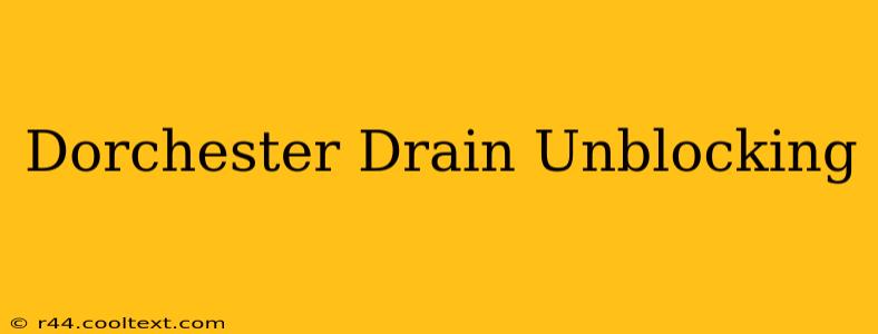 Dorchester Drain Unblocking