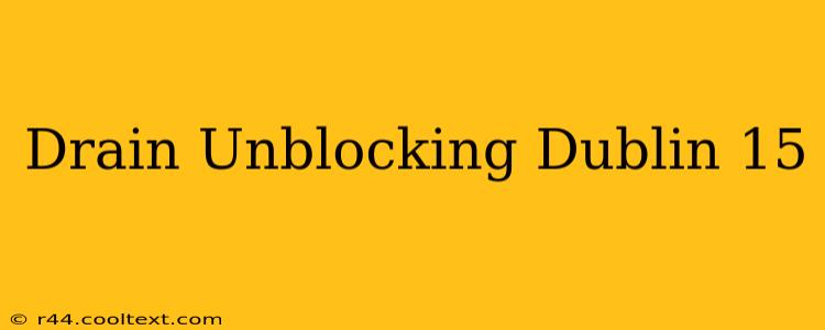 Drain Unblocking Dublin 15