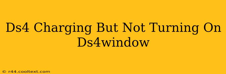 Ds4 Charging But Not Turning On Ds4window