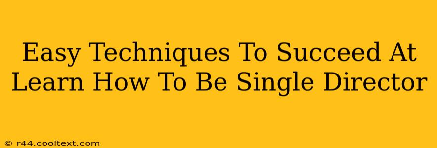 Easy Techniques To Succeed At Learn How To Be Single Director