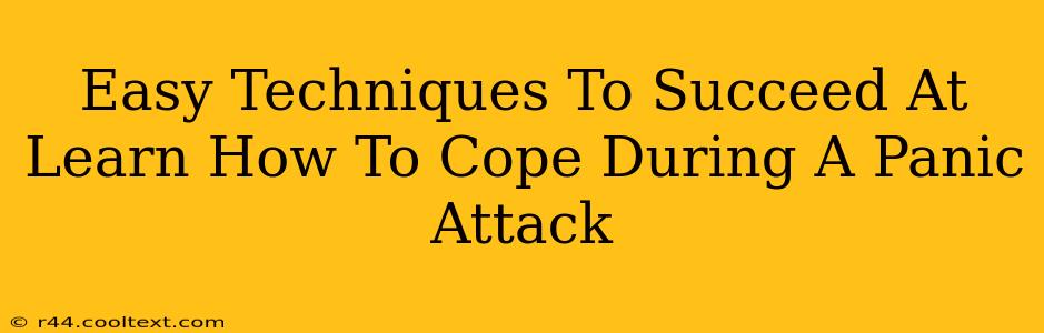 Easy Techniques To Succeed At Learn How To Cope During A Panic Attack