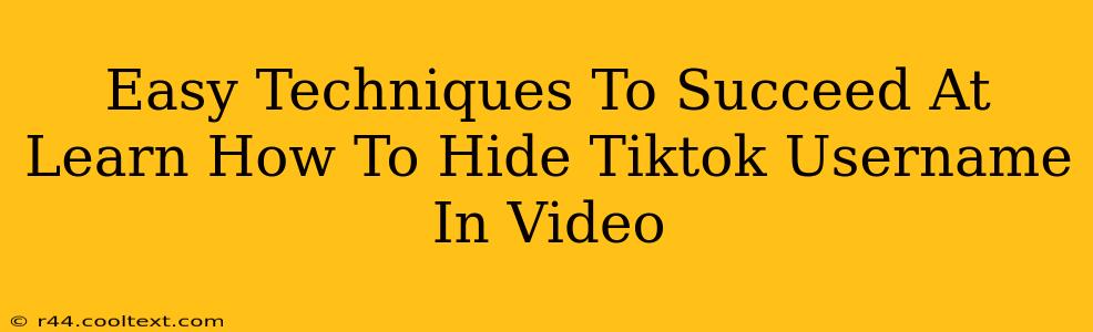 Easy Techniques To Succeed At Learn How To Hide Tiktok Username In Video