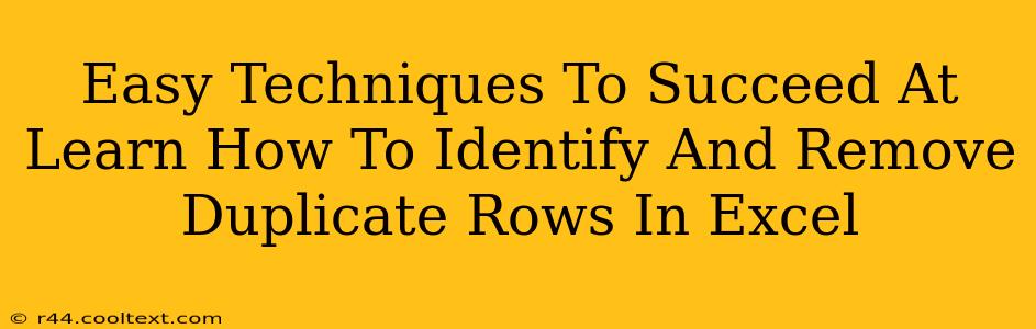 Easy Techniques To Succeed At Learn How To Identify And Remove Duplicate Rows In Excel