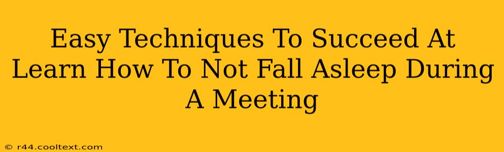 Easy Techniques To Succeed At Learn How To Not Fall Asleep During A Meeting