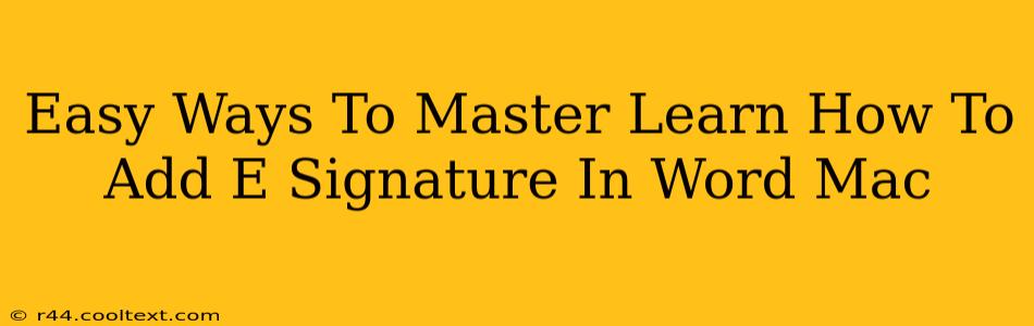 Easy Ways To Master Learn How To Add E Signature In Word Mac