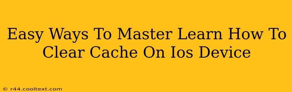 Easy Ways To Master Learn How To Clear Cache On Ios Device