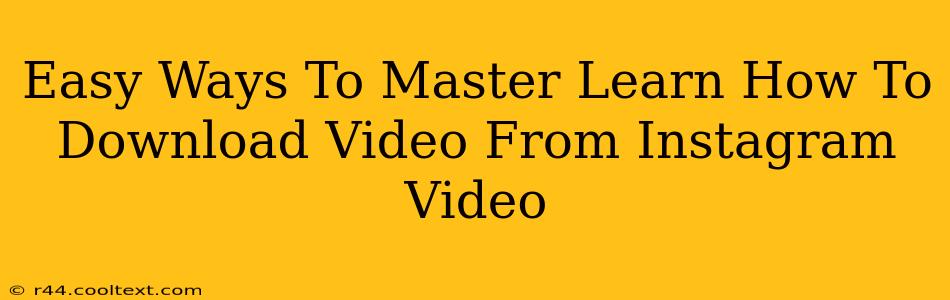 Easy Ways To Master Learn How To Download Video From Instagram Video