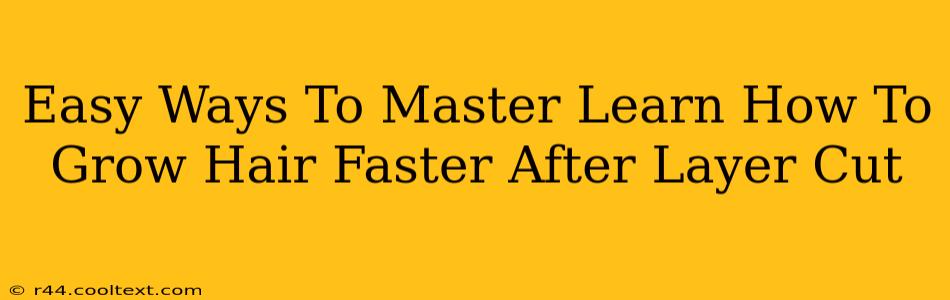 Easy Ways To Master Learn How To Grow Hair Faster After Layer Cut