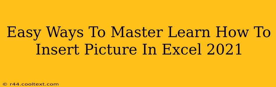 Easy Ways To Master Learn How To Insert Picture In Excel 2021