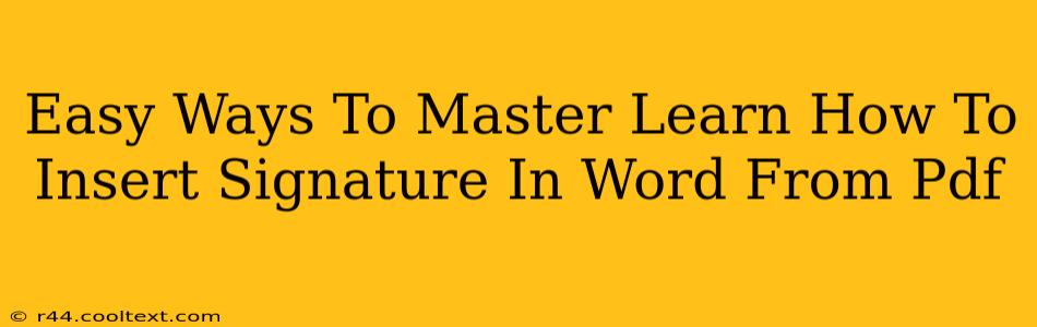 Easy Ways To Master Learn How To Insert Signature In Word From Pdf