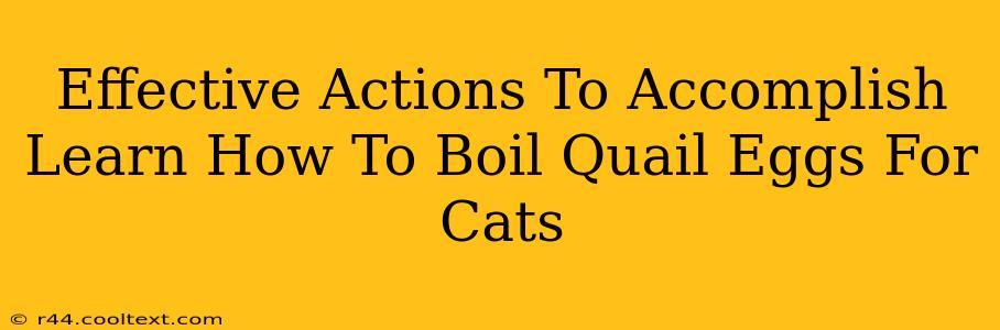 Effective Actions To Accomplish Learn How To Boil Quail Eggs For Cats