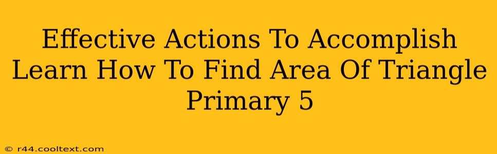 Effective Actions To Accomplish Learn How To Find Area Of Triangle Primary 5