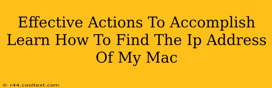 Effective Actions To Accomplish Learn How To Find The Ip Address Of My Mac