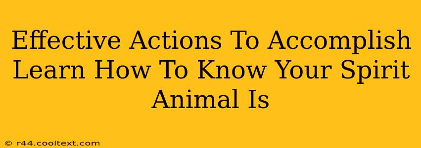 Effective Actions To Accomplish Learn How To Know Your Spirit Animal Is