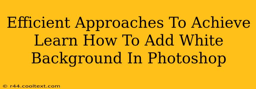 Efficient Approaches To Achieve Learn How To Add White Background In Photoshop