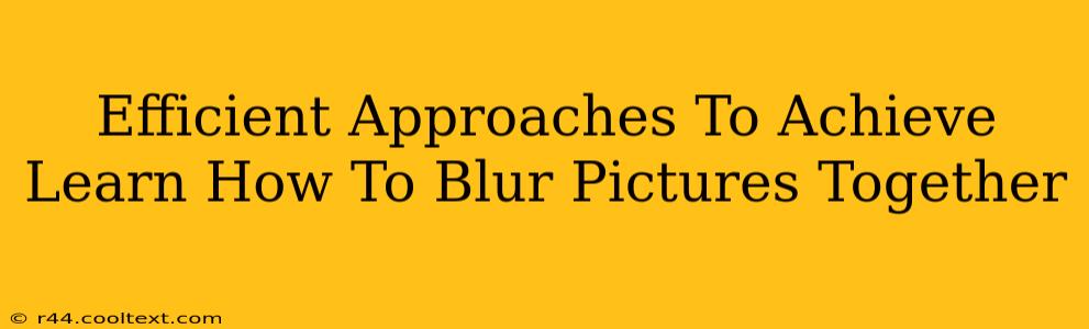 Efficient Approaches To Achieve Learn How To Blur Pictures Together