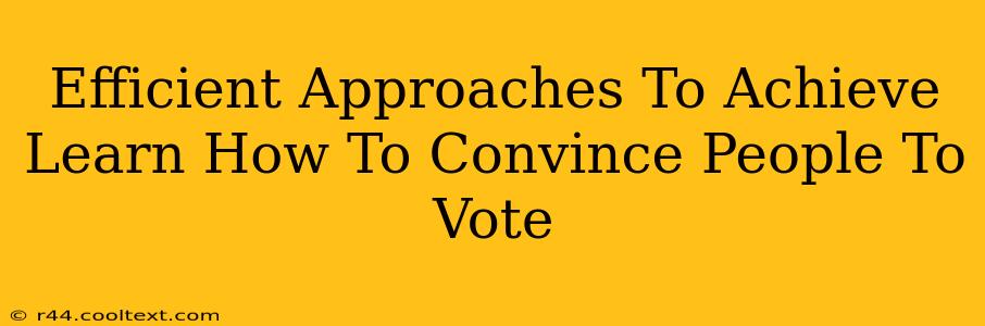 Efficient Approaches To Achieve Learn How To Convince People To Vote