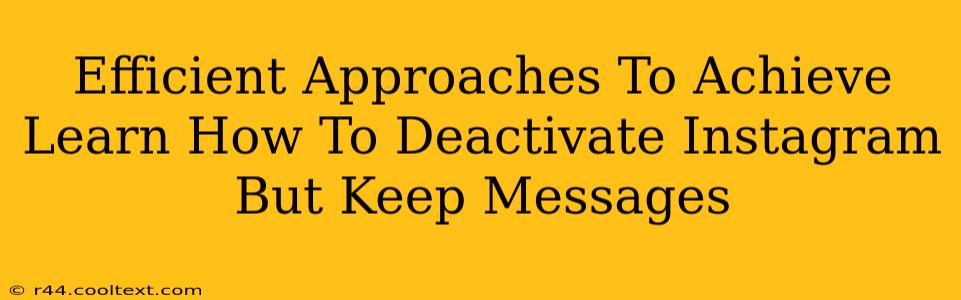 Efficient Approaches To Achieve Learn How To Deactivate Instagram But Keep Messages