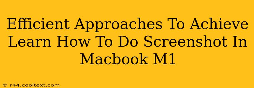 Efficient Approaches To Achieve Learn How To Do Screenshot In Macbook M1