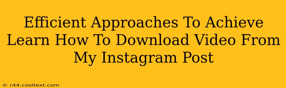 Efficient Approaches To Achieve Learn How To Download Video From My Instagram Post