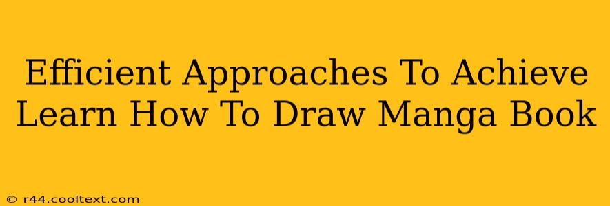 Efficient Approaches To Achieve Learn How To Draw Manga Book