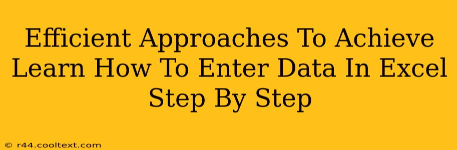 Efficient Approaches To Achieve Learn How To Enter Data In Excel Step By Step