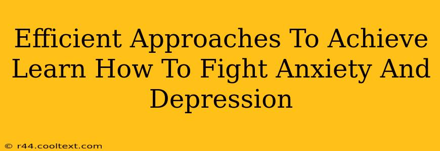 Efficient Approaches To Achieve Learn How To Fight Anxiety And Depression