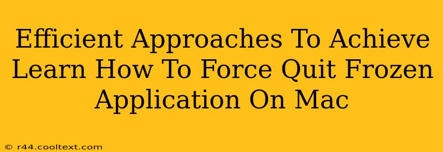 Efficient Approaches To Achieve Learn How To Force Quit Frozen Application On Mac