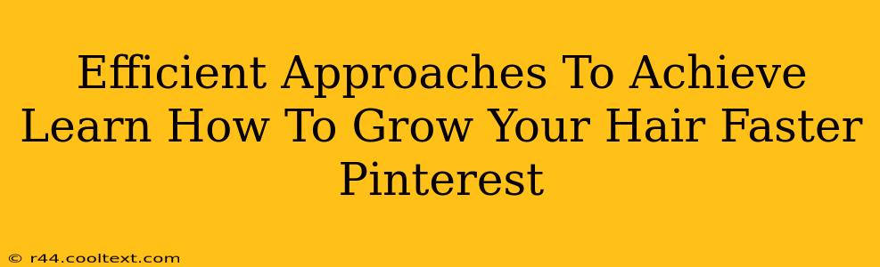 Efficient Approaches To Achieve Learn How To Grow Your Hair Faster Pinterest