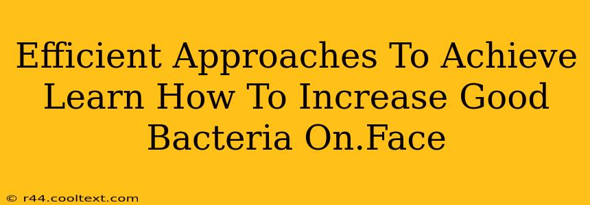 Efficient Approaches To Achieve Learn How To Increase Good Bacteria On.Face